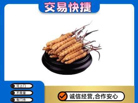 中山礼品回收散虫草.jpg